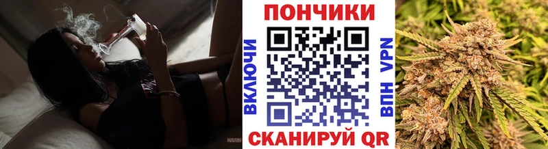 kraken зеркало  продажа наркотиков  Ясный  Бошки марихуана план 